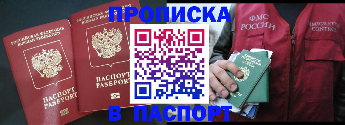 прописка 2025 в Михайловке